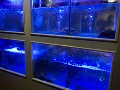 -小龍鳳·港式海鲜打边炉(沙湖路店)