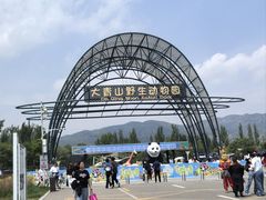 -大青山野生动物园