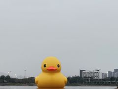 -深圳人才公园