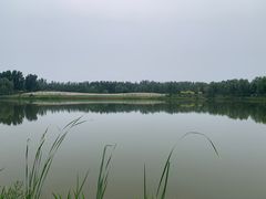 -东郊湿地公园