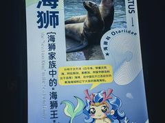 -海合安青岛极地海洋公园