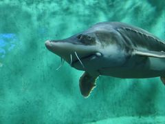 -太平洋海底世界