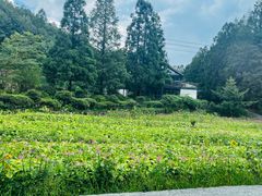 -山王坪喀斯特国家生态公园