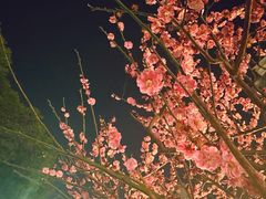 -老门东历史文化街区