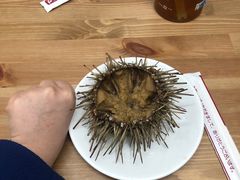 海胆水饺-海胆小馆(东北水饺·春柳店)