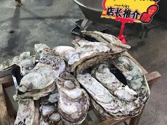 桑拿蚝-蚝专家(北滘店)