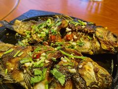 -小桂林烧鸽子