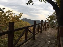 -大岭沟猕猴桃谷风景区