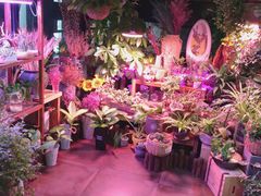-莫太花餐厅(河北路店)