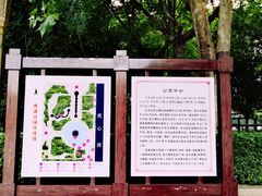 -西清公园