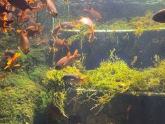 -太平洋海底世界