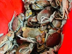 -老财炒饭·熟地蟹·冬瓜蟹