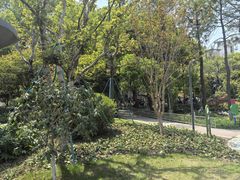 -宁波儿童公园(鄞州区)