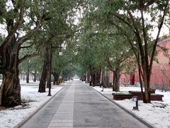 -北京市劳动人民文化宫(太庙)