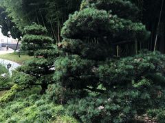 -陈云纪念馆