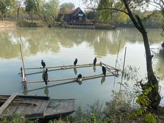 -长兴太湖图影湿地文化园