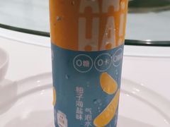 -眉州东坡(华联万柳店)