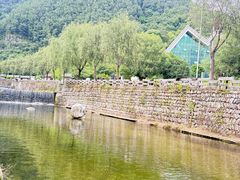 -牛背梁国家森林公园