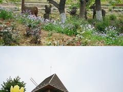 -密云玫瑰情园