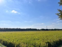 -嘉北郊野公园