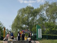 -长白岛森林公园