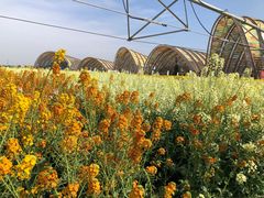 -中国天府农业博览园