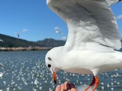 -海埂大坝