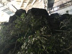 -吉林省自然博物馆