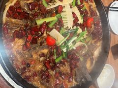 -老板恋上鱼(恒隆广场店)