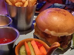 -bluefrog蓝蛙(新三里屯太古里店)