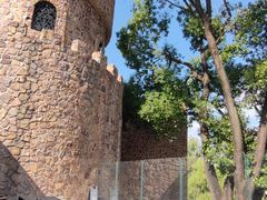 -J Create城市露营咖啡·简餐·宠物(上海动物园店)