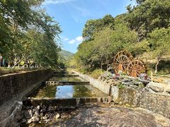 -广州白江湖森林公园