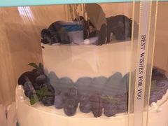 -小厨娘淮扬菜(板桥一店)