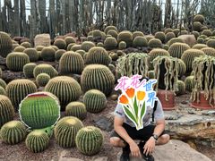 -南通洲际绿博园