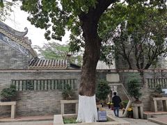-碧江金楼