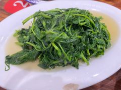 清炒豌豆尖-雨田饭店