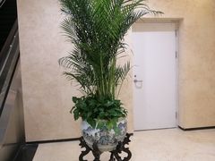 -北京饭店