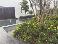 -逸林轩中餐厅(中信泰富朱家角锦江酒店)