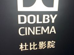 -万达影城(汉街万达广场IMAX店)