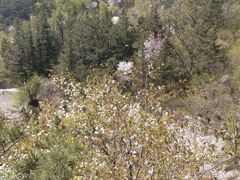 -崂山巨峰游览区