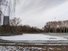 -黄村公园