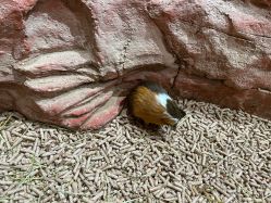 -Zoolung Zoolung动物主题公园(海信广场店)