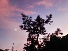 -求水山公园