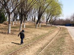 -永定河休闲森林公园