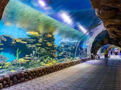 -华夏文旅海洋公园