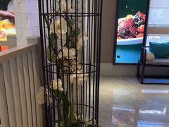 -御湾·浅水湾·贺胜土鸡汤(潜山店)