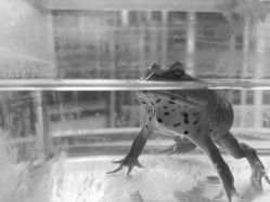 -周忆刺青原创设计定制