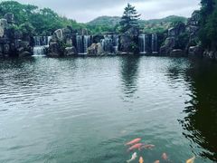 -白马涧龙池景区