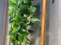 -大头亮羊汤烩面·河南非遗(良乡总店)