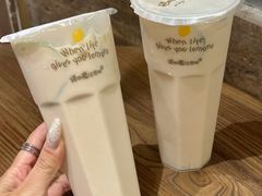 -猫的魔法密林(衣裳街店)